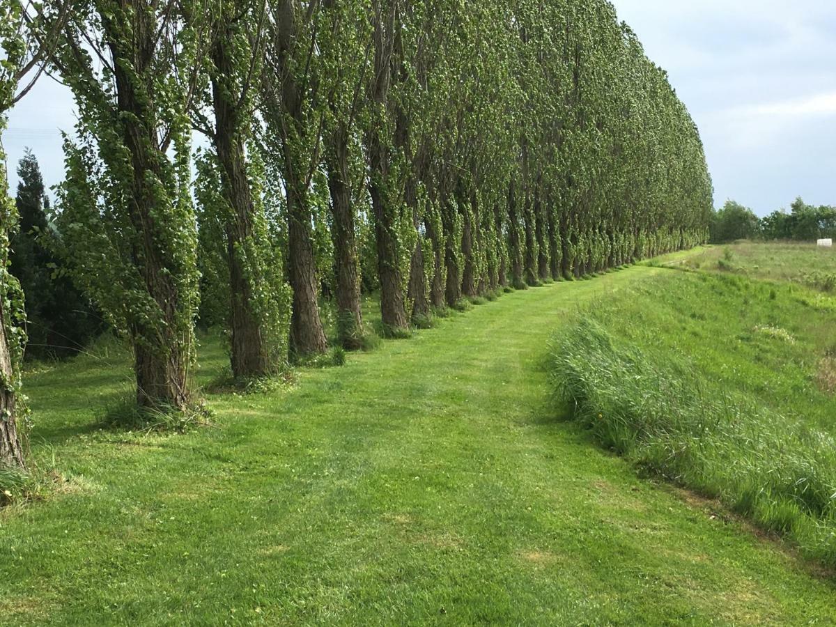Fewo Gerichtsstube Im Rittergut Leppersdorf Bei Radeberg Fuer 6 Pers Wachau Exteriör bild
